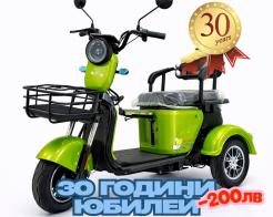 Електрическа триколка 2+1 750.2 Тип VESPA STYLE с диференциал Нов модел снимка 130